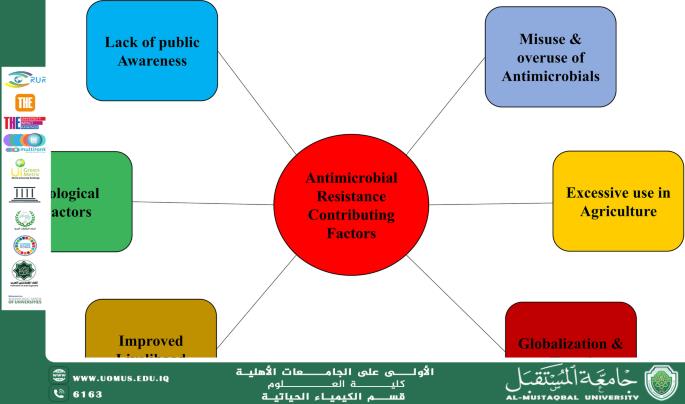 مقالة علمية لرئيس قسم الكيمياء الحياتية أ.د ناصر عبد الحسن بعنوان التحاليل السريرية: حجر الأساس لصحة مستدامة