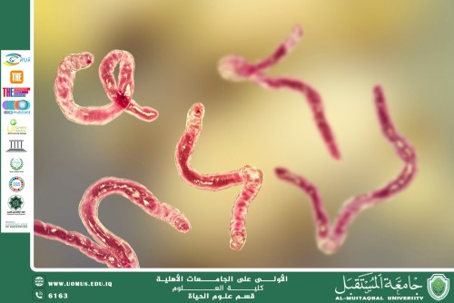 مقالة علمية للانسة نور الهدى عزمي بعنوان  التقنيات الحديثة في تشخيص الديدان الطفيلية: نحو تشخيص أسرع وأكثر دقة
