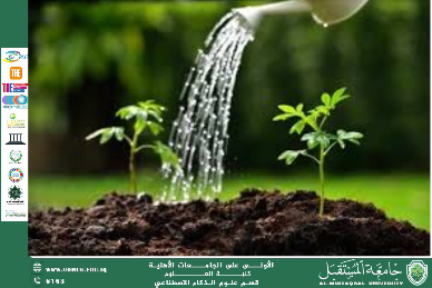 Plants… The Lungs of the Earth and the Source of Life