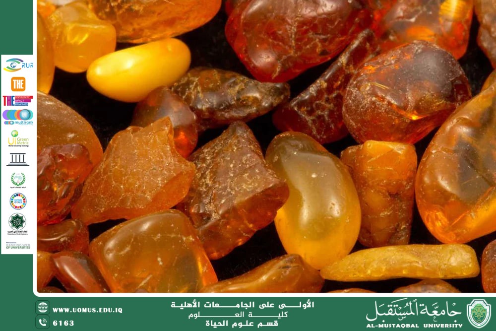 مقالة علمية للانسة نور الهدى عزمي حسن بعنوان الجيولوجيا الاقتصادية 