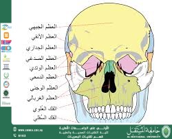 default image