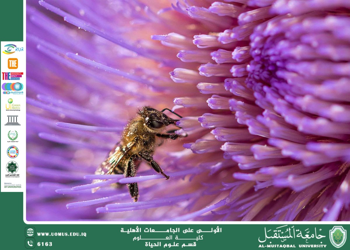 A scientific article by Ms. Noor Al-Huda Azmi Hassan entitled "Pollination Networks: Interactions between Plants and Insects"