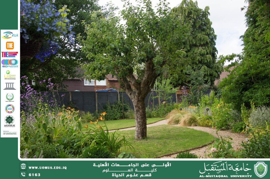 A scientific article by lecturer Msc. Zainab Nazim Aziz entitled "Designing Home Gardens According to Environmental Principles"