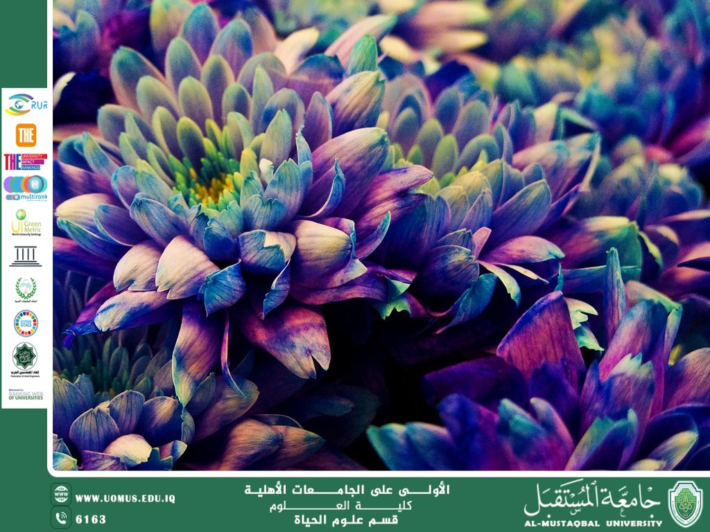مقالة علمية للانسة نور الهدى عزمي حسن بعنوان "النباتات المعدلة وراثيًا"