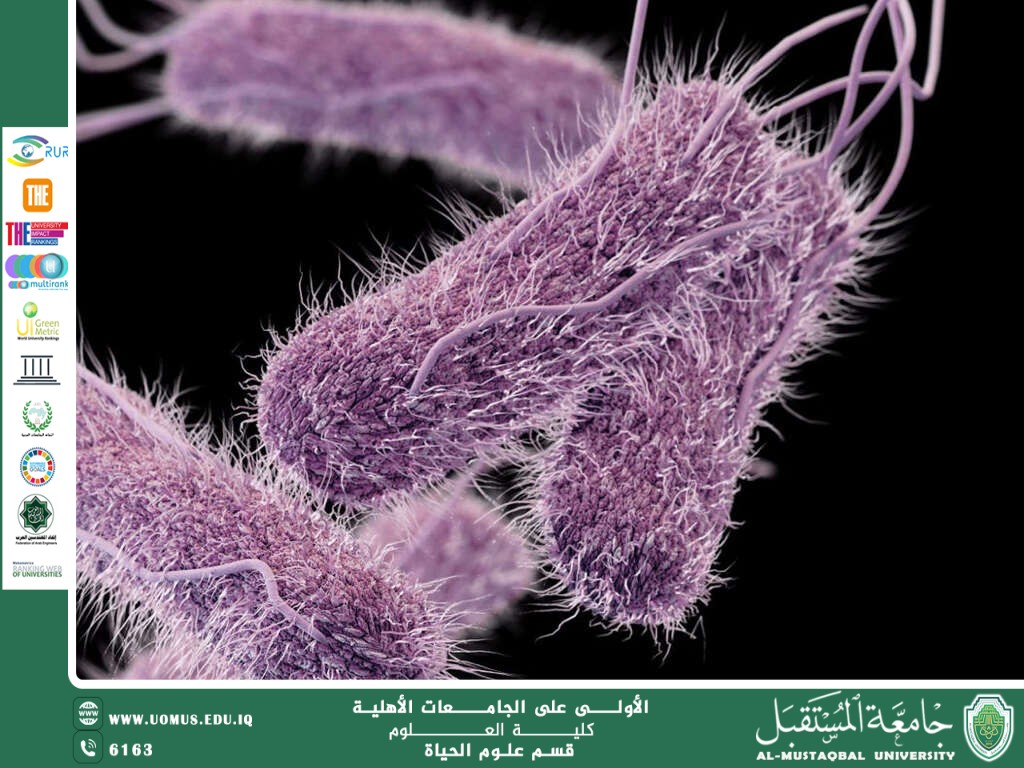 A scientific article by teaching assistant Banin Maan Karim entitled "Typhoid "