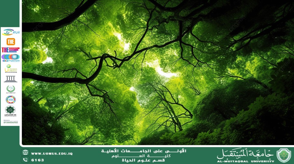 A scientific article by Ms. Noor Al-Huda Azmi Hassan entitled "Environmental Sustainability as a Pivotal Element in Sustainable Development Plans"