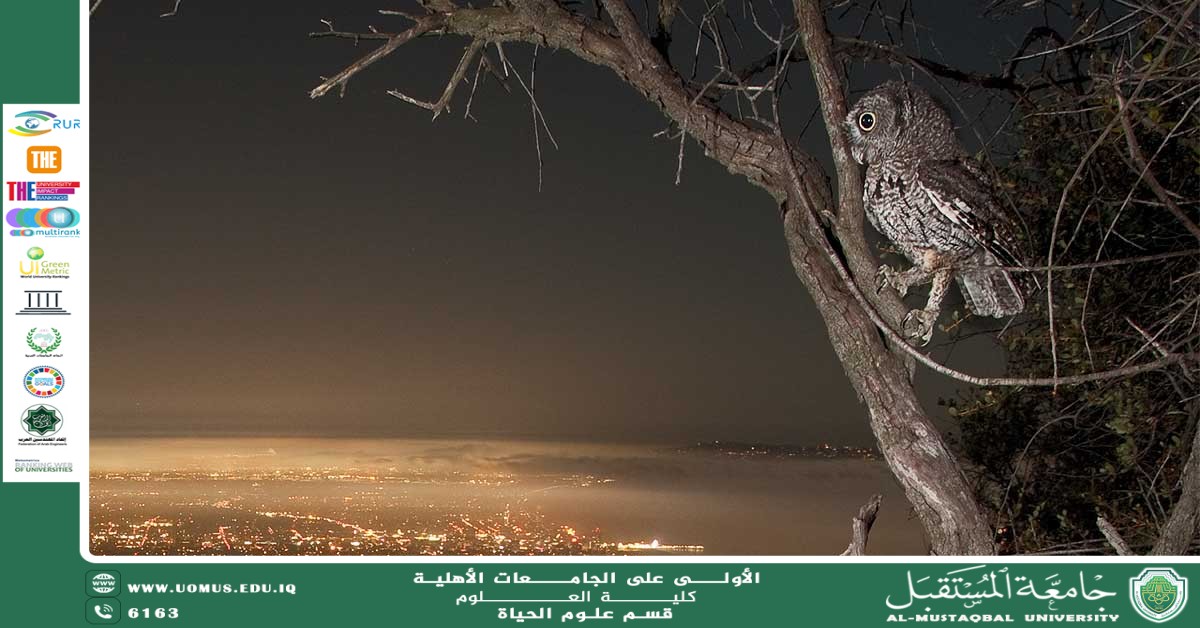 A scientific article by Ms. Noor El-Huda Azmi Hassan entitled "The effect of light pollution on the behavior of nocturnal animals "