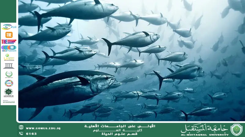مقالة علمية للمعيدة بنين معن كريم بعنوان "  تأثير التغيرات في درجات الحرارة على حياة الكائنات البحرية "
