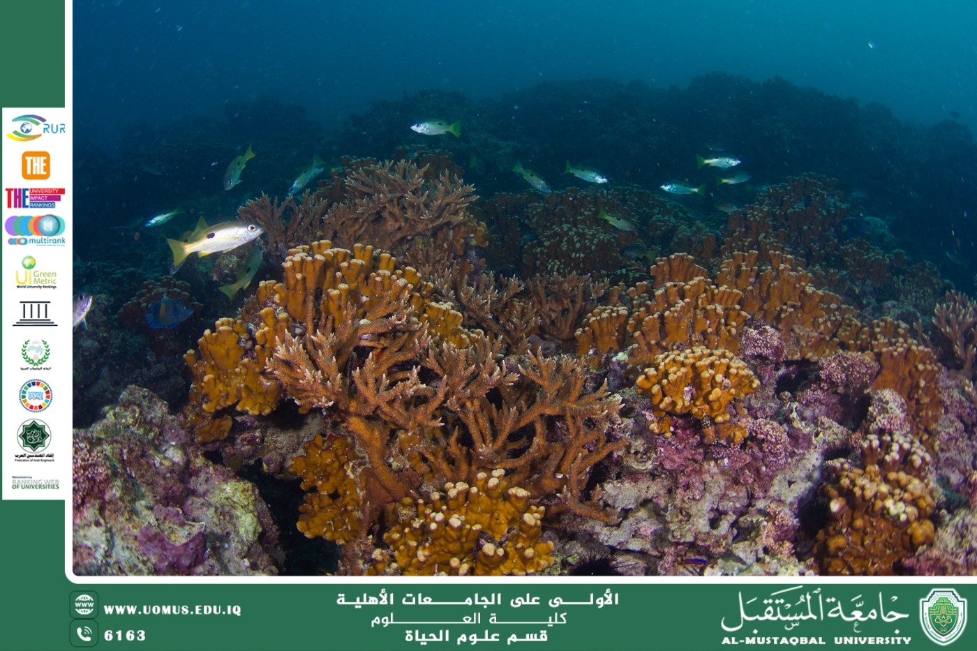 A scientific article by teaching assistant Banin Maan Karim entitled "The role of coral reefs in supporting marine life"