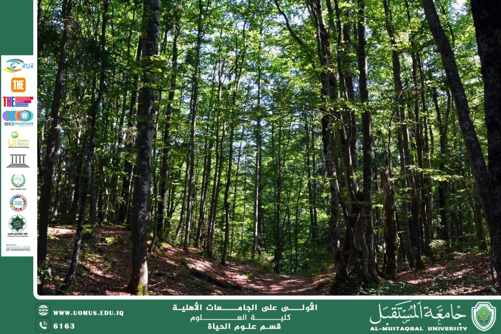 A scientific article by Ms. Noor El-Huda Azmi Hassan entitled "The importance of forests in regulating the Earth's climate and supporting life"