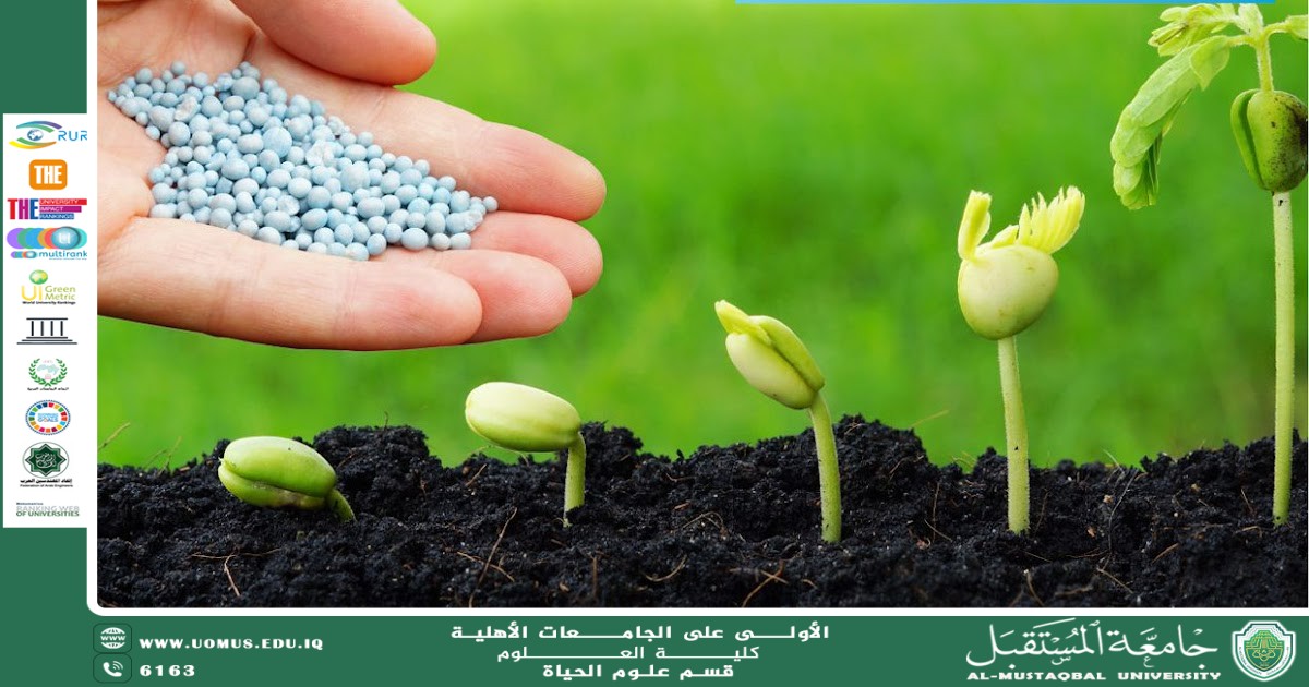 A scientific article by Ms. Noor El-Huda Azmi Hassan entitled "Biofertilizers"