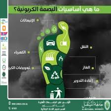 Environmental sustainability and reducing carbon footprint (waqar chafat jassim)