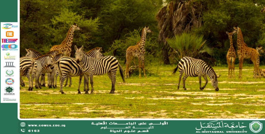 A scientific article by Ms. Noor El-Huda Azmi Hassan entitled "Food relationships in animal ecosystems"