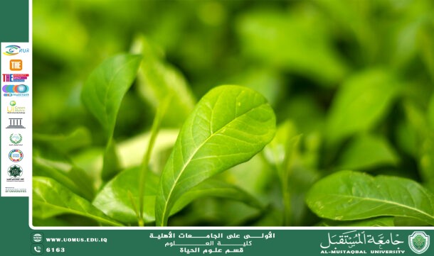 A scientific article by teaching assistant Banin Maan Karim entitled"Plant hormones and their role in enhancing plant resistance to salinity"