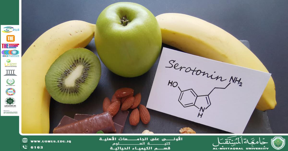 مقالة علمية للتدريسي م.د.كرار مجيد عبيد بعنوان ارتفاع وانخفاض السيروتونين: نظرة علمية شاملة