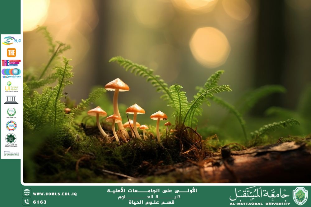 مقالة علمية للانسة نور الهدى عزمي حسن بعنوان "الفطريات و تنوعها البيولوجي وأهميتها البيئية"