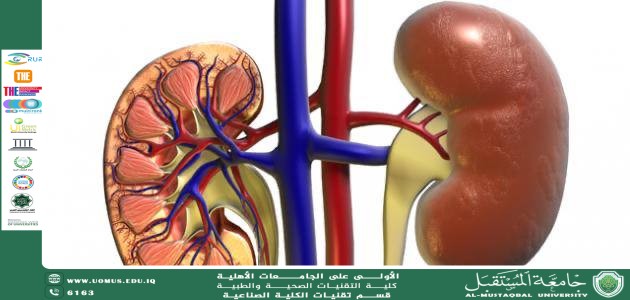 Kidney Functions and Their Relationship with Retinopathy