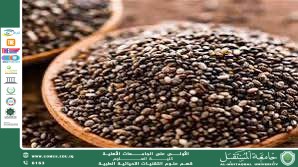 A scientific article by the lecturer (M.M. Saja Jawad Ubaid) titled “Chia Seeds”