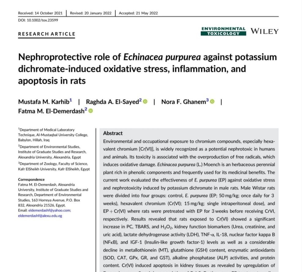 default image